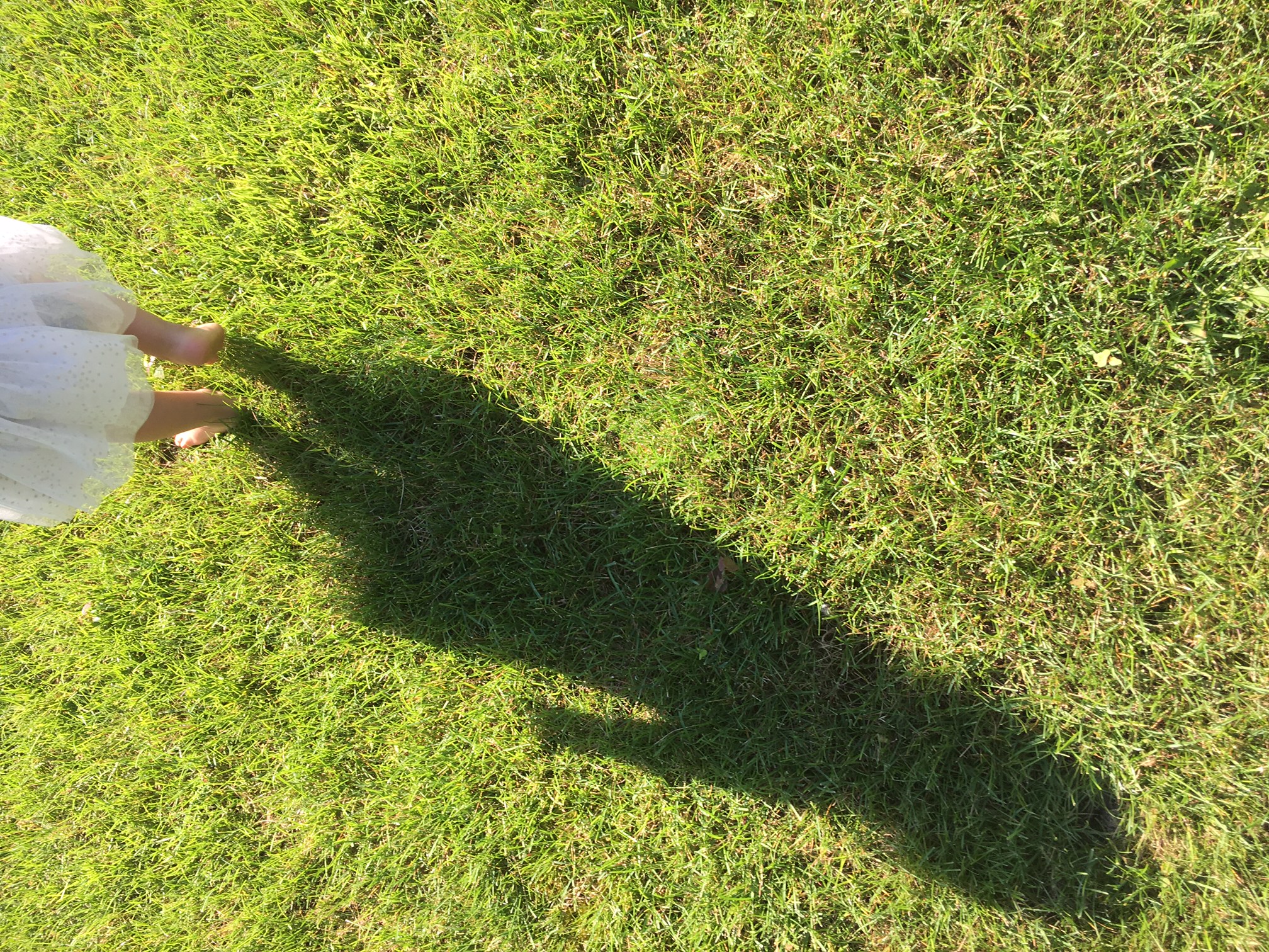 grass-shadow-feet.jpg